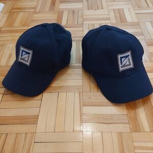 3/60$💚 2 baseball hat pedigree premium